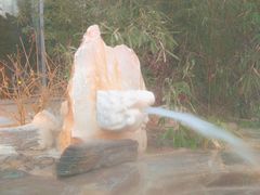 -中家鑫园温泉酒店鑫悦汤泉