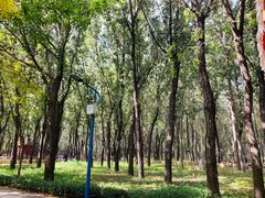 -森林公园(尖草坪区)