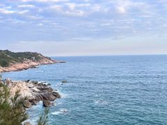 -广东惠东海龟国家级自然保护区