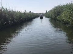 -白洋淀景区