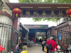 -杨桃基农庄老字.号(长洲岛店)