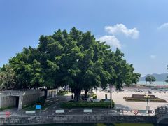 -石炮台公园