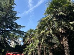 -西苑公园