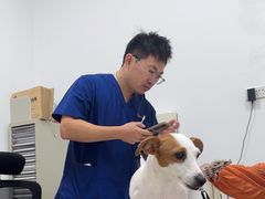 -派美特宠物医院·核磁CT·骨科肿瘤·疑难转诊(沈农禾丰店)