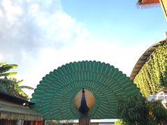 -边寨喊沙