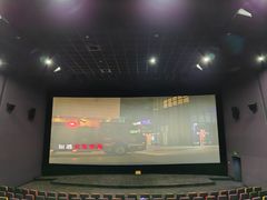 -幸福蓝海国际影城(河西店)