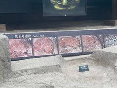 -金沙遗址博物馆