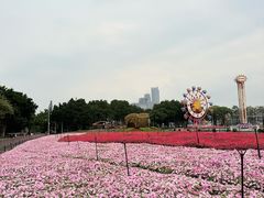 -海心沙亚运公园