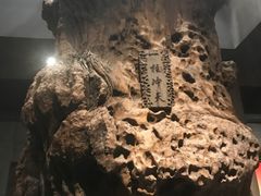 -乐山乌木文化博览苑