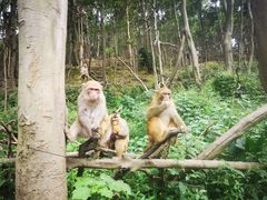 -黔灵山公园