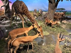 -国家自然博物馆