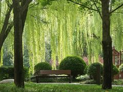 -唐城墙遗址公园