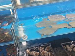 -京港生鲜(四道口店)