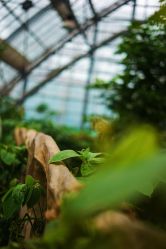 -明洞造型精品烫染