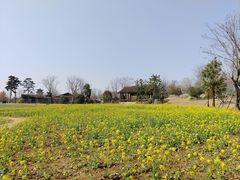 -南阳卧龙岗武侯祠