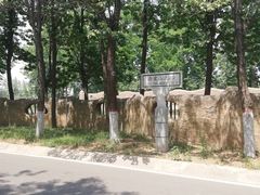 -石家庄市植物园