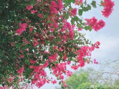 -我的四季意大利餐厅(春天百货店)