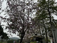 -广东温泉宾馆