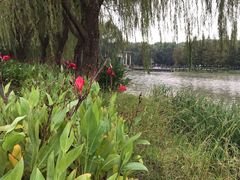 -昆山城市生态森林公园