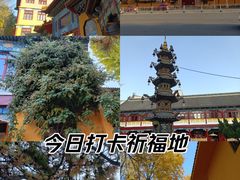 -挂甲禅寺