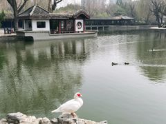 -团结湖公园