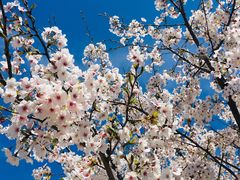 -金泽21世纪美术馆