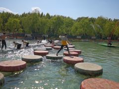 -东方巨龟苑景区