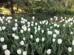 -长春公园(普阳街道)