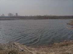 -哈尔滨大剧院