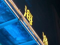 -驻海渔市(置信店)