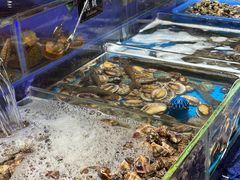 -加餐海鲜自助(宝龙一城店)