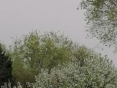 -太阳宫公园