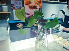 -罗莎蛋糕(南门口店)