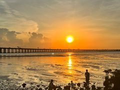 -宝安西湾红树林湿地公园