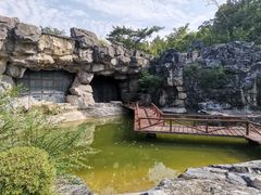 -吴淞炮台湾湿地森林公园烧烤区