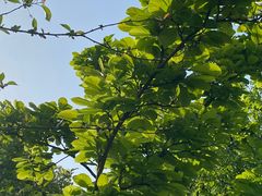 -九里河湿地公园