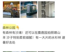 -日照灯塔风景区