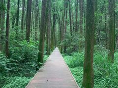 -同里国家湿地公园
