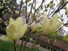 -白塘生态植物园