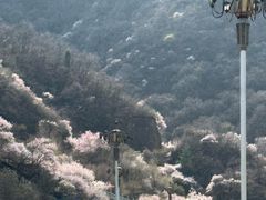 -崆峒山景区