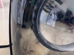 -乐琪宠物医院·犬猫专科·骨外科·急重症