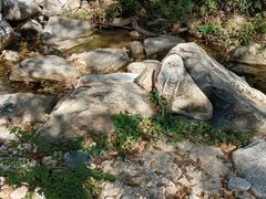 -黑龙潭风景区