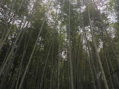 -千泷沟大瀑布旅游区
