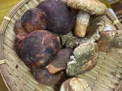 -菌极鲜野生菌火锅店(阳明祠店)