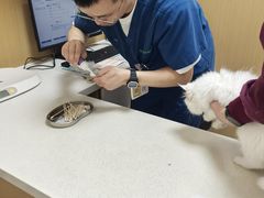 -瑞派康怡24h宠物医院·犬猫医疗中心·微创绝育(瑞景分院)
