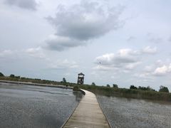 -盐城丹顶鹤湿地生态旅游区