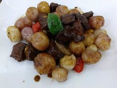 -锦粤宫·精致粤菜(深圳北站店)