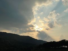 -风云岭森林公园