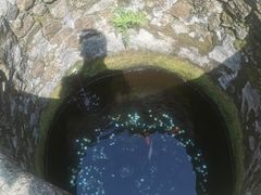 -南靖田螺坑土楼群景区