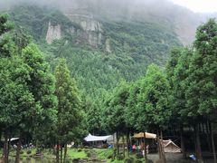 -重庆睡佛山森林公园